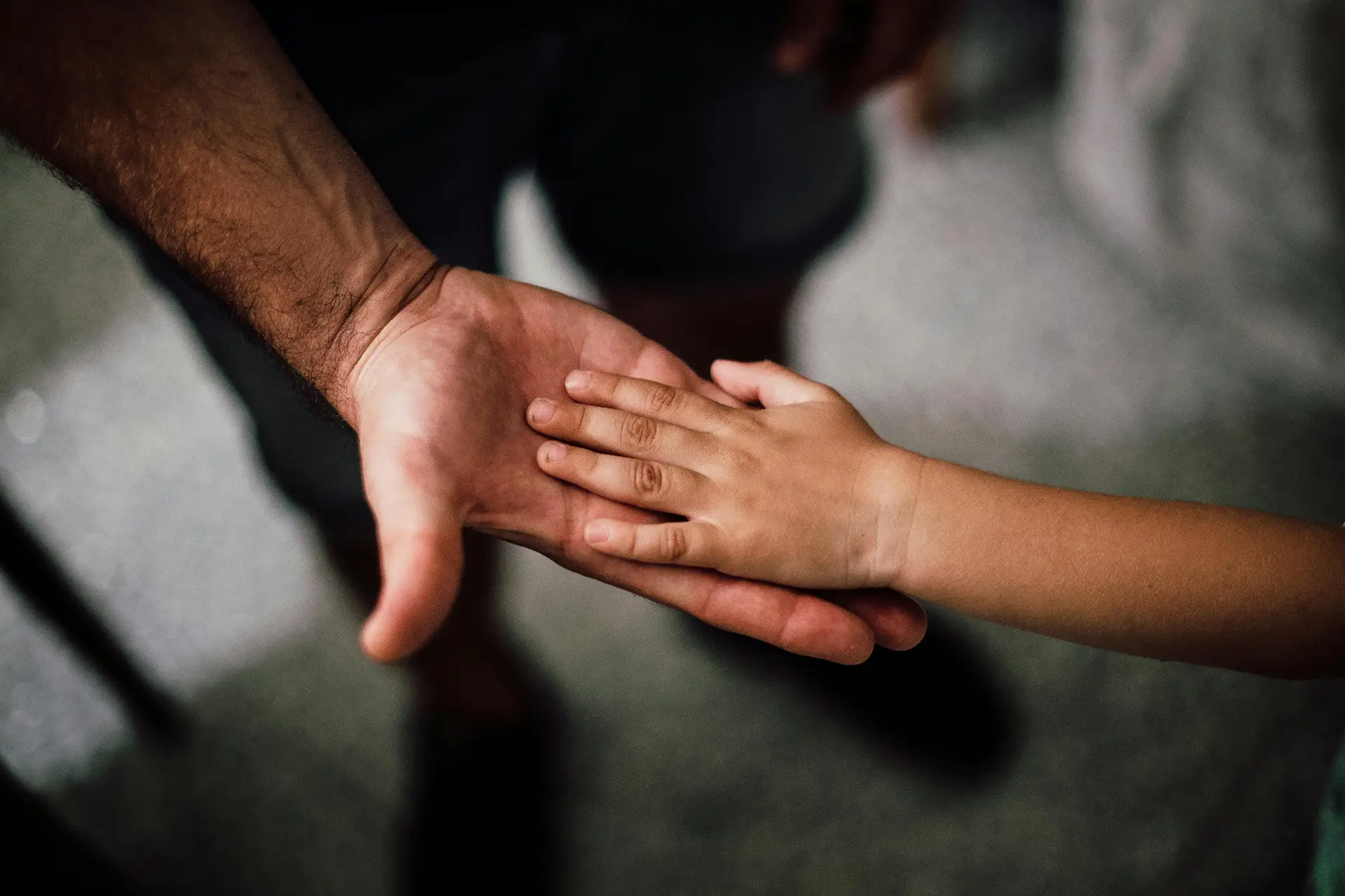 Hand of parent, holding hands with child