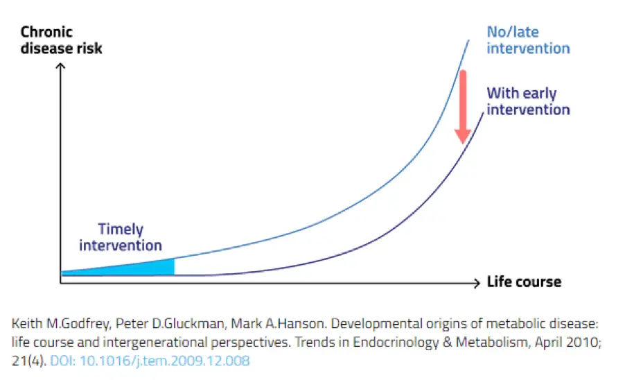 Developmental Origins of metabolic disease graph